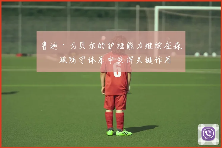 鲁迪·戈贝尔的护框能力继续在森林狼防守体系中发挥关键作用