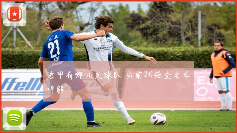 意甲有哪几支球队 当前20强全名单详解