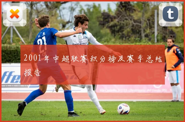 2001年中超联赛积分榜及赛季总结报告