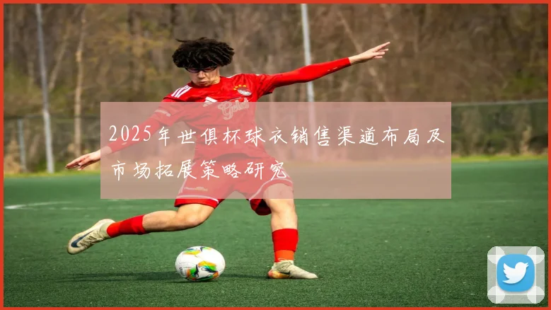 2025年世俱杯球衣销售渠道布局及市场拓展策略研究